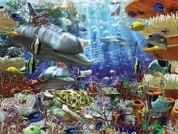 Ravensburger Puzzle Leben unter Wasser