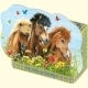 Mini Puzzle Pferdefreunde Drei Ponys