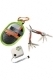 Haba Terra Kids Multitool