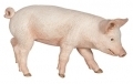 Papo Figur Ferkel m�nnlich