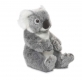 WWF Plschtier Koala