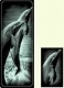 Scraper Kratzbild Delfine